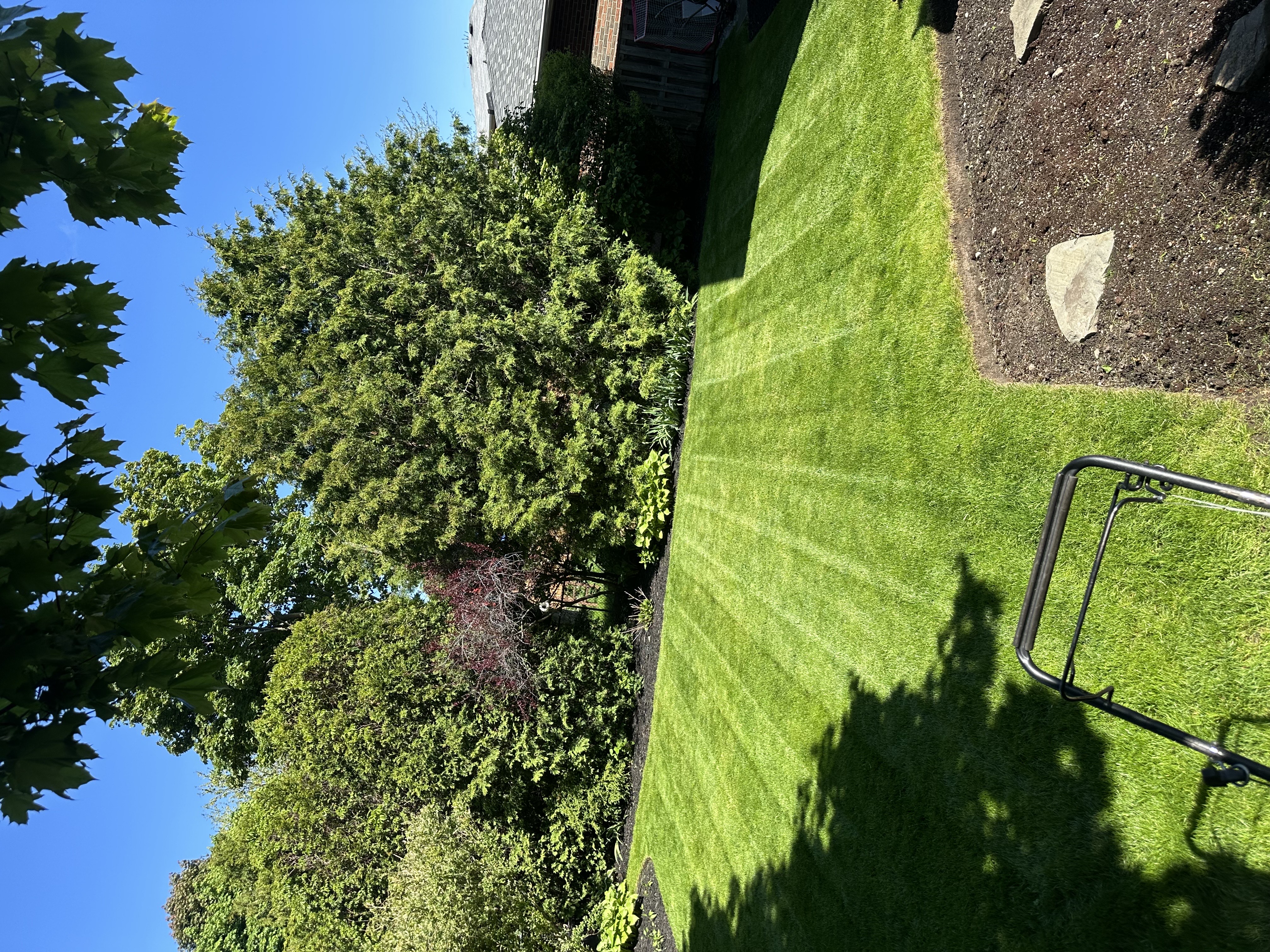 Lawn job 2
