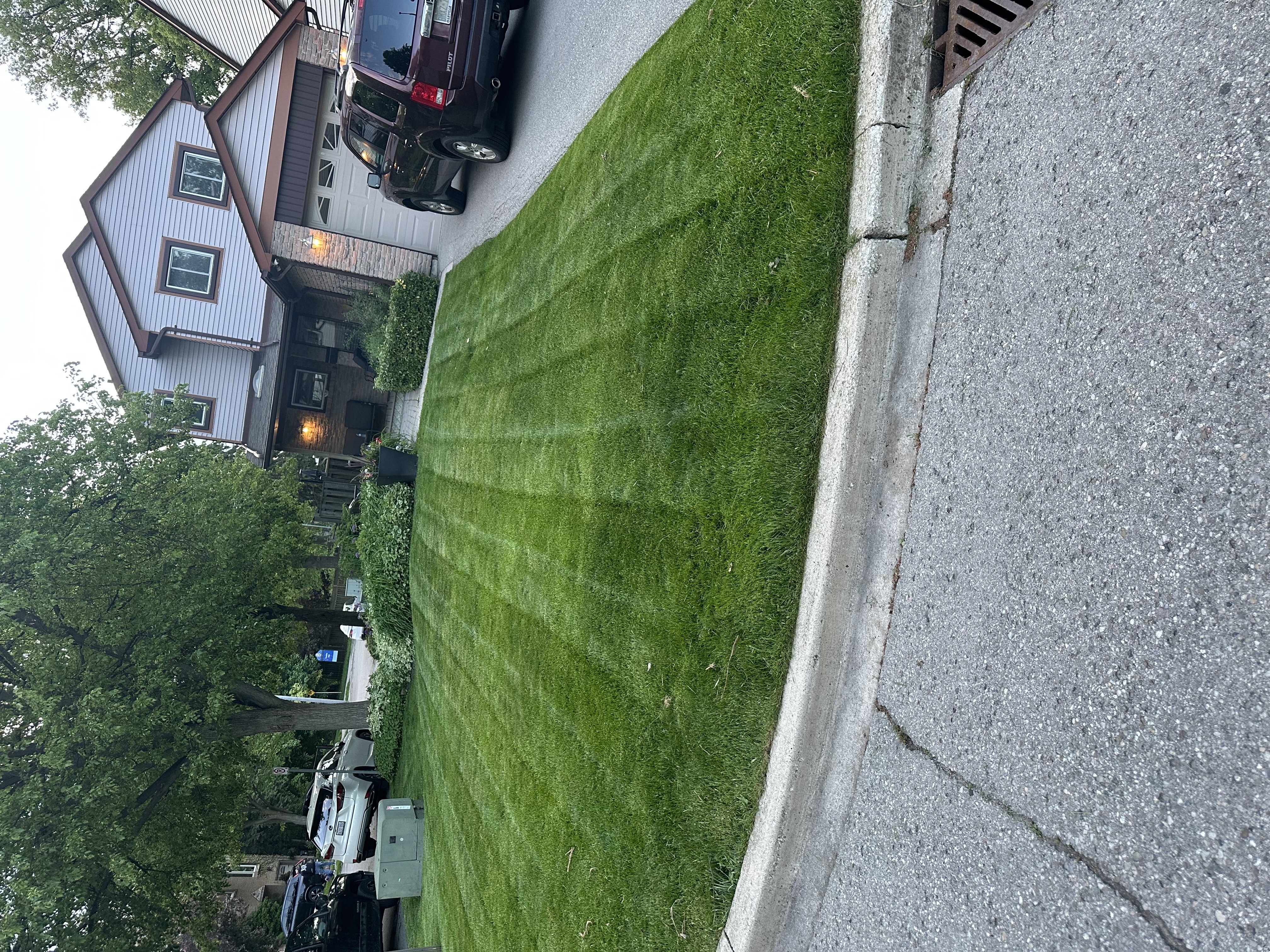 Lawn job 4